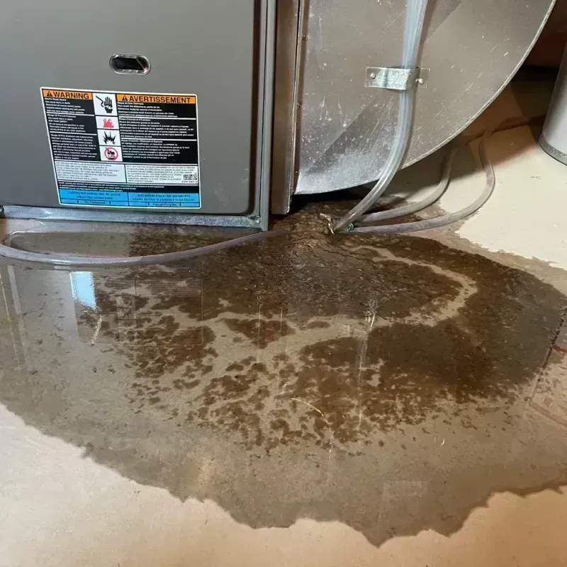 Appliance Leak Cleanup in Sappington, MO